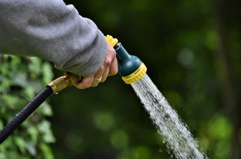 Enchanter's Watering Can